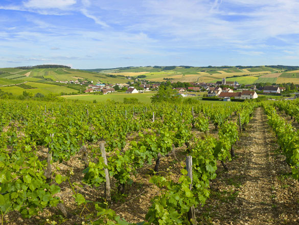 Saint-Bris
